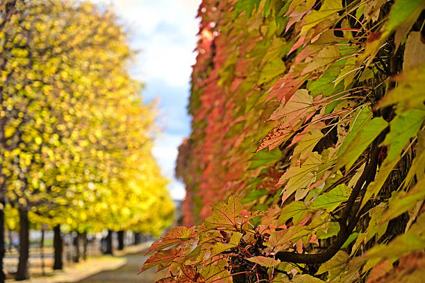 Augarten park in Vienna, autumn season