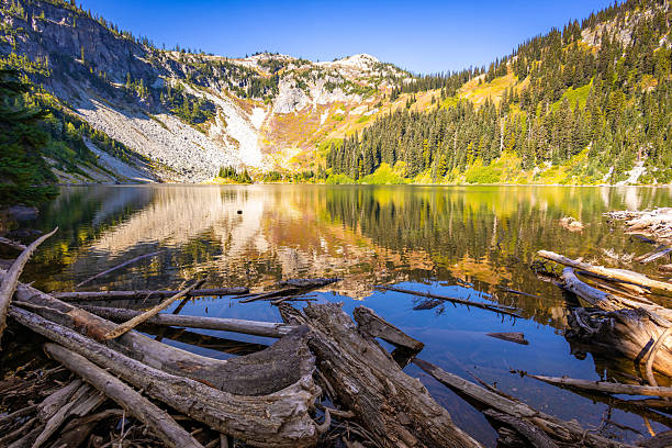 Driftwood scattered along the shoreline of Lake Ann, providing a beautiful foreground to the glacial lake, as seen from the Maple Pass Loop Trail in North Cascades National Park.