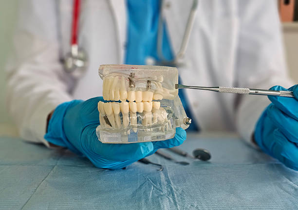 istock Dentist demonstrating oral care techniques using a dental model during patient consultation 2243658659
