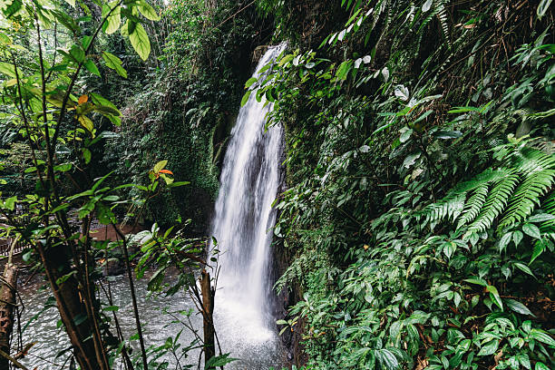 istock Jungle waterfall flowing through lush green tropical forest 2243659453