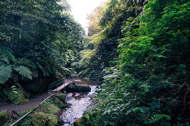 Lan Sadat, Kew Mae Pan Waterfall at Doi Inthanon National Park in Chiangmai, Thailand.