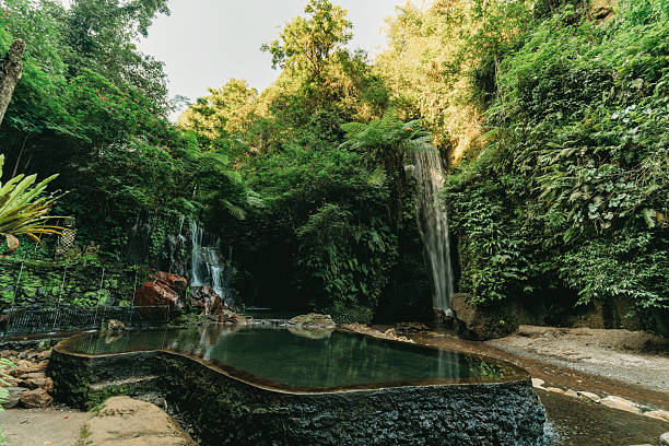 Lush green jungle surrounds a multi-tiered waterfall cascading into a natural swimming pool, offering a serene escape