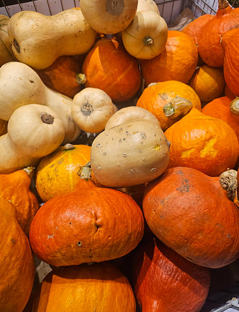 Colorful assortment of pumpkins and squash at a local market during autumn