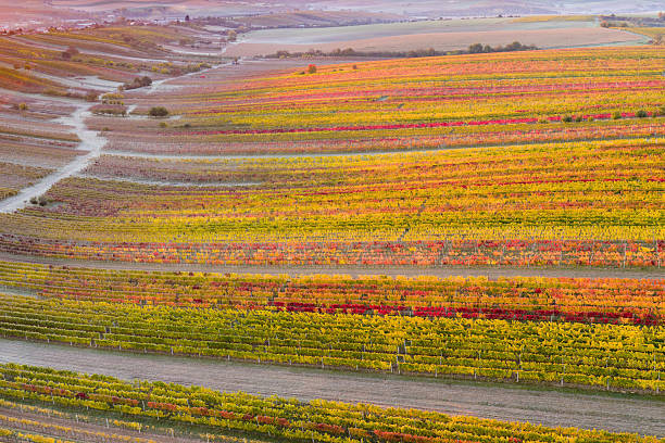 Beautiful rolling landscape in South Moravia called Moravian Tuscany. Czech republic. High quality photo