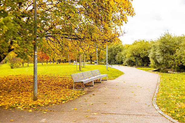 istock Park pratelstvi in autumn showing fall colors Prosek, Prague 9 2243661869
