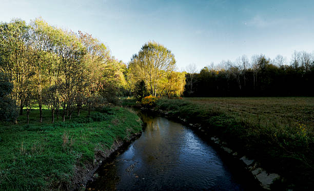 istock river in the middle of nature 2243664730