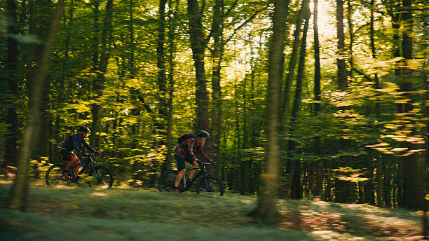 istock Elated Cyclists Racing Through Bright Forest on Adventurous Mountain Biking Path 2243665343