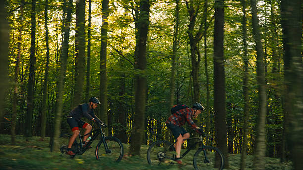 istock Energetic Cyclists Maneuvering Bicycles Through Serene Sunlit Forest Path 2243665348