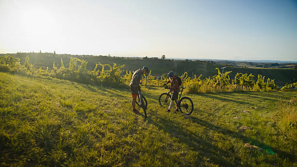 istock Energetic Caucasian Males Navigating Vineyard Path on Bicycles in Sunlit Terrain. Prlekija Region, Slovenia 2243665381
