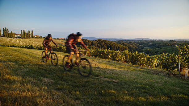 istock Dynamic Caucasian Riders Navigating Diverse Vineyard Landscape on Bicycles During Golden Hour 2243665983