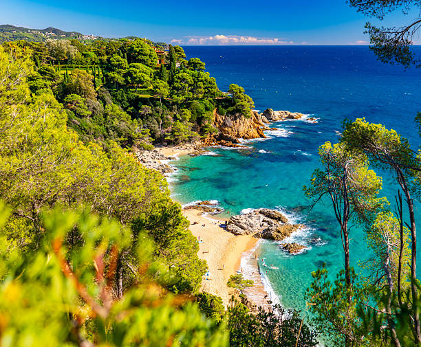 istock Cala Boadella Beach, Lloret de Mar, Costa Brava, Spain 2243666658