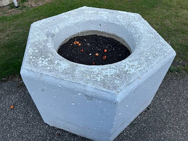 istock Octagonal Concrete Planter With Soil and Small Red Apples in a Outdoor Setting 2243667690