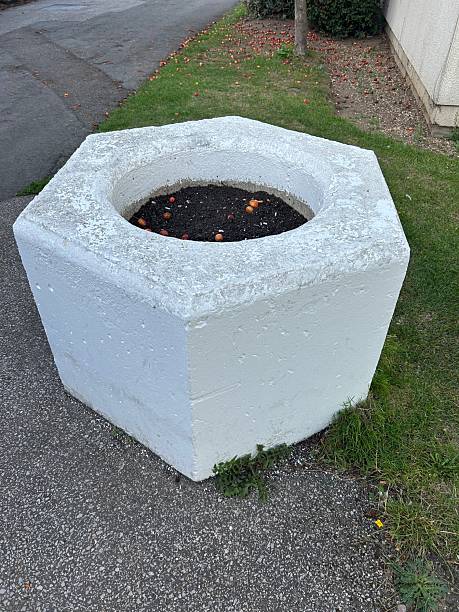 istock Octagonal Concrete Planter With Soil and Small Red Apples in a Outdoor Setting 2243667692