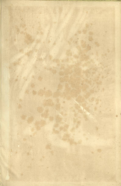 istock Old vintage paper background, stains, marks 2243668801