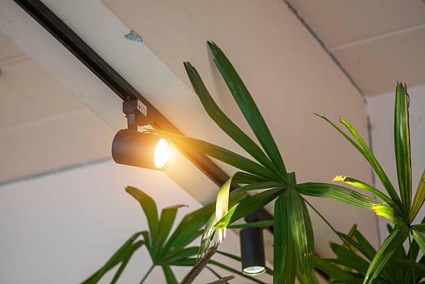 istock Modern Light Fixture with Green Foliage 2243672044