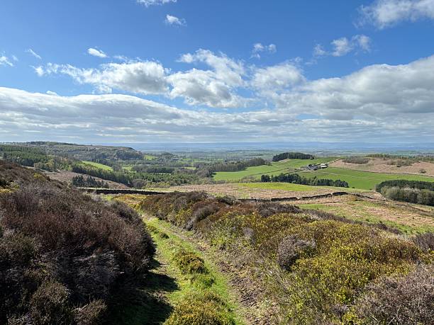 istock Rural Landscape of Rolling Hills With Footpath and Fields 2243672140