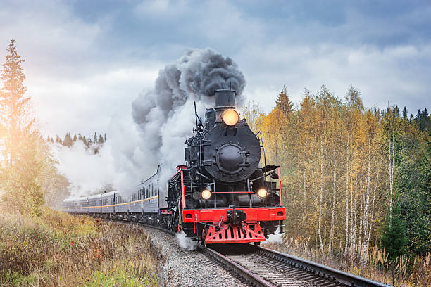 Steam retro train moves in the forest.