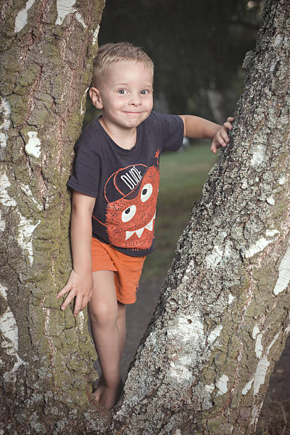Nice young boy posing on birch at summer daytime in camp