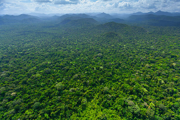 istock Amazon rainforest from the air, Potaro-Siparuni region, Guyana. 2243685533