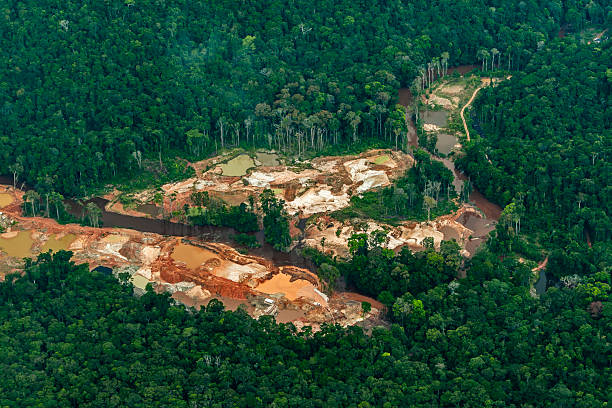 istock Illegal gold mine in the middle of Amazonian rainforest, Guyana 2243686040