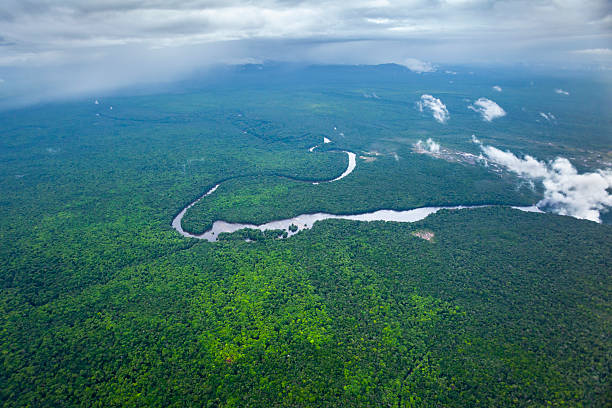 istock River running through Amazon Rainforest, Kaieteur National Park, Guyana. 2243686310