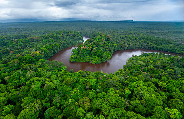 istock River running through Amazon Rainforest, Kaieteur National Park, Guyana. 2243686344