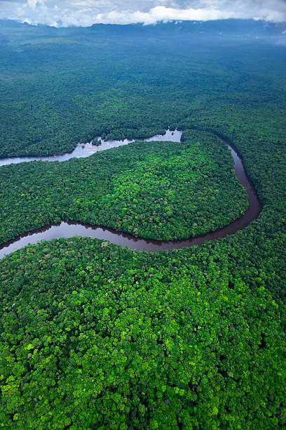 istock River running through Amazon Rainforest, Kaieteur National Park, Guyana. 2243686346
