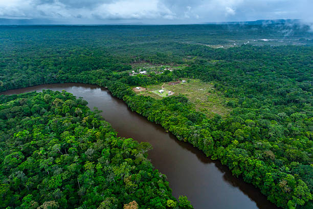 istock River running through Amazon Rainforest, Kaieteur National Park, Guyana. 2243686349