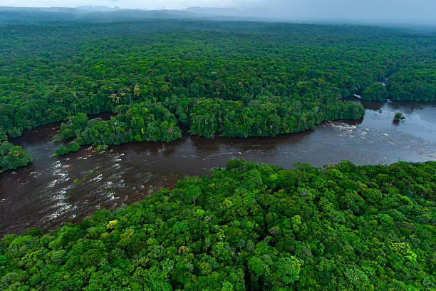 Aerial shot of Potaro River running through Amazonian rainforest in Kaieteur National Park, Potaro-Siparuni region, Essequibo territory, Guyana. The Essequibo region is the subject of a dispute between Guyana and Venezuela.