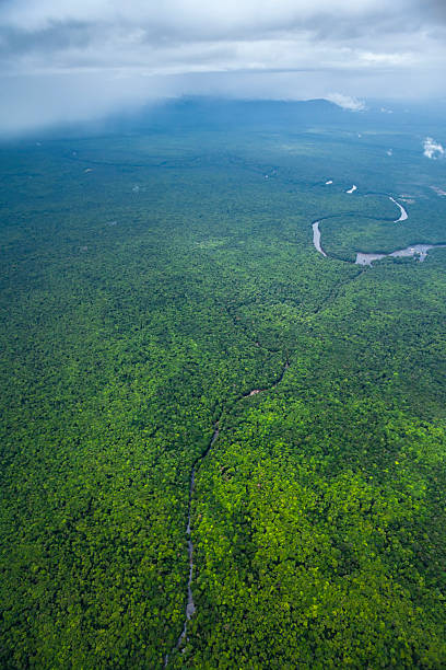 istock River running through Amazon Rainforest, Kaieteur National Park, Guyana. 2243686390