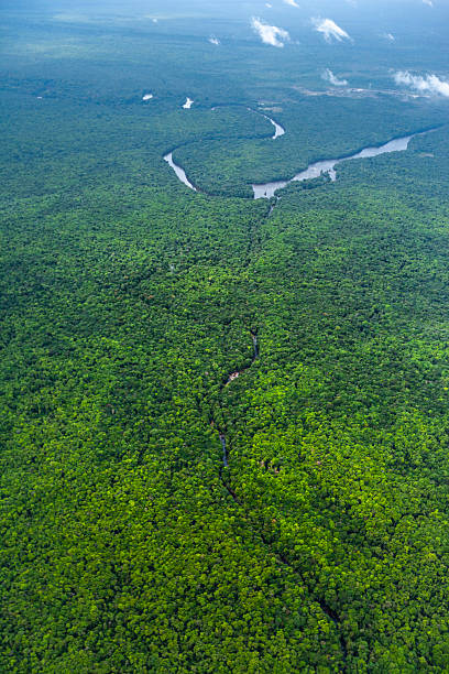 istock River running through Amazon Rainforest, Kaieteur National Park, Guyana. 2243686411