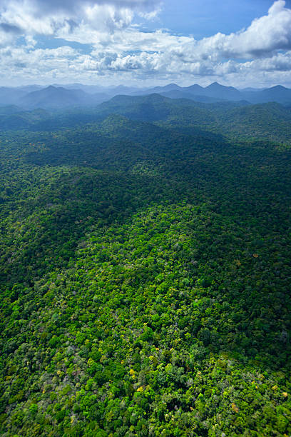 istock Amazon rainforest from the air, Potaro-Siparuni region, Guyana. 2243686550