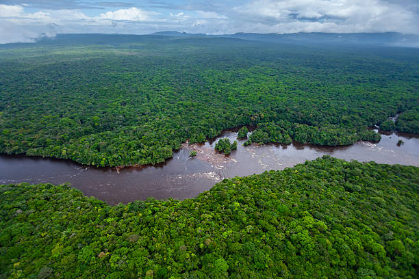 istock River running through Amazon Rainforest, Kaieteur National Park, Guyana. 2243686674