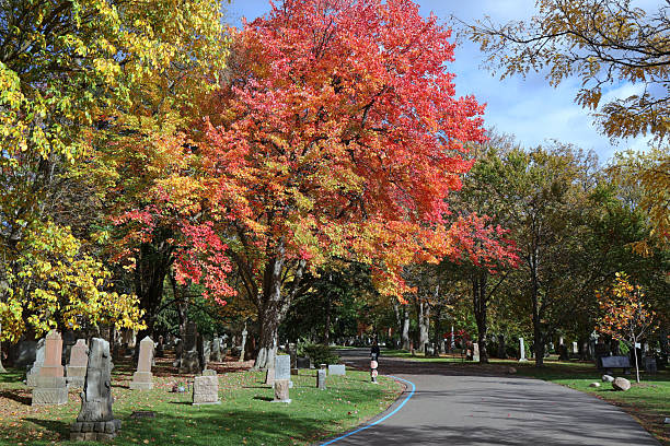 istock Park-like cemetery with fall colors 2243686845