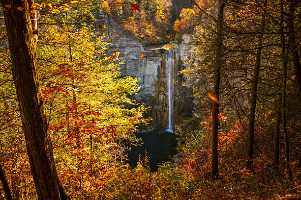 Autumn foliage surrounds Taughannock Falls is a 215-foot plunge waterfall, that is the highest single-drop waterfall east of the Rocky Mountains.