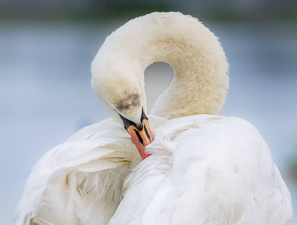 Photo taken in Norwich, United Kingdom