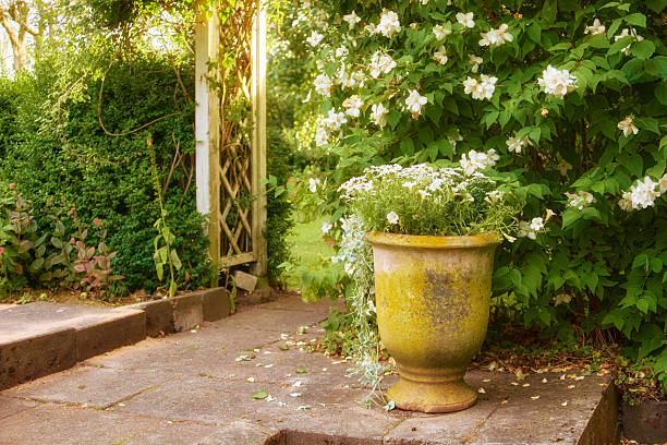 A rustic stone urn filled with delicate white flowers sits on a stone terrace, framed by a green hedge and climbing roses. Warm light highlights the aged patina of the urn, creating a tranquil, timeless garden scene perfect for home and lifestyle visuals from Denmark.