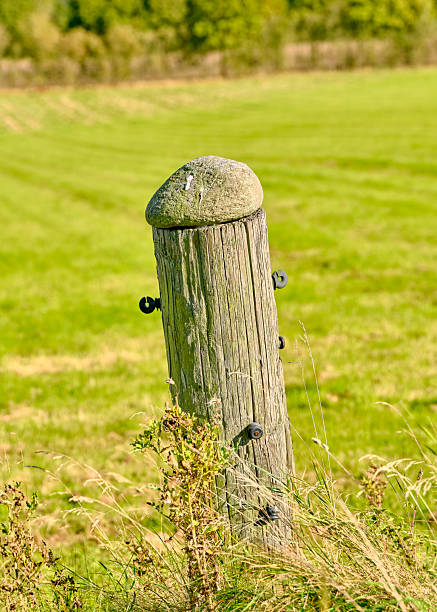 A weathered wooden fence post topped with a smooth stone stands in a sunlit Danish field. Yerky grasses sway nearby, creating a serene rural scene perfect for landscape, nature, and country life stock content. The image emphasizes texture, simplicity, and quiet countryside atmosphere in Denmark.