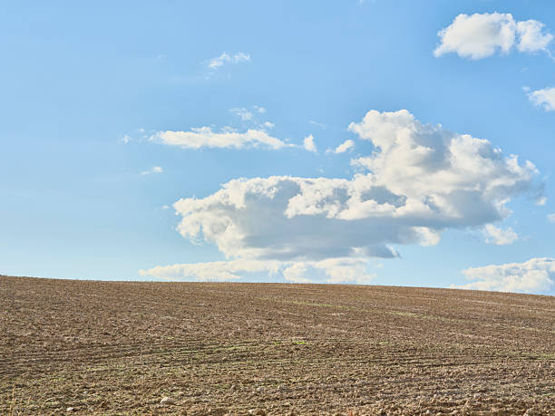 A wide Danish field unfolds toward the horizon beneath a clear blue sky scattered with fluffy clouds. The bare, tilled soil conveys calm and solitude, hinting at autumn farming in Denmark. This serene rural scene highlights nature, agriculture, and the quiet beauty of the countryside.