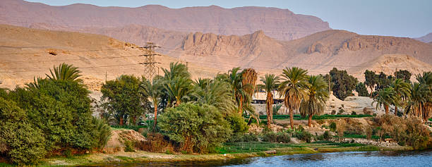 istock Lush greenery of palm trees by the Nile river with mountainous backdrop 2243694500