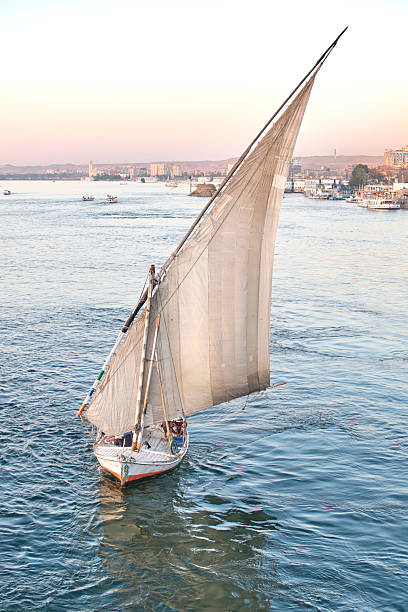 istock Sailing boat on the Nile River with a cityscape backdrop during sunset lighting 2243694512
