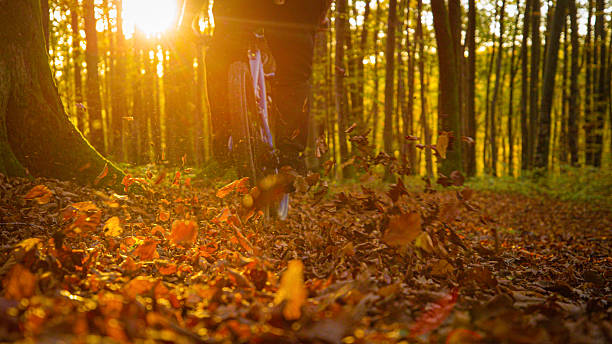 LOW ANGLE VIEW, LENS FLARE, DOF: Cyclist rides through a forest trail leaving golden autumn leaves flying behind. Warm sunlight, vibrant tones, the spirit of outdoor freedom and seasonal adventure.