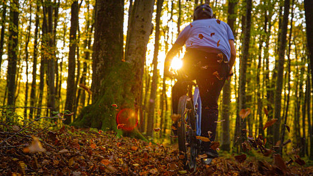 istock LOW ANGLE VIEW, LENS FLARE, DOF: Mountain biker rides through glowing forest 2243695156