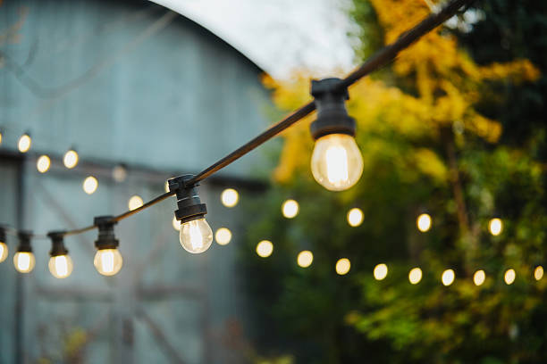istock String of warm light bulbs hanging outdoors on a cable against a soft background of greenery 2243697160