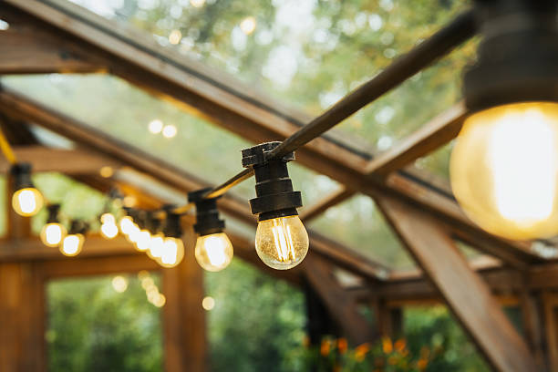 istock Warm outdoor string lights hanging inside a greenhouse with green foliage background 2243697163