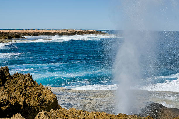 The Blowholes Quobba Eco Reserve Carnarvon Western Australia