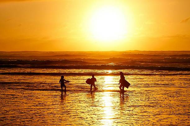 istock Silhouettes at Sunset on the Ocean 2243703616