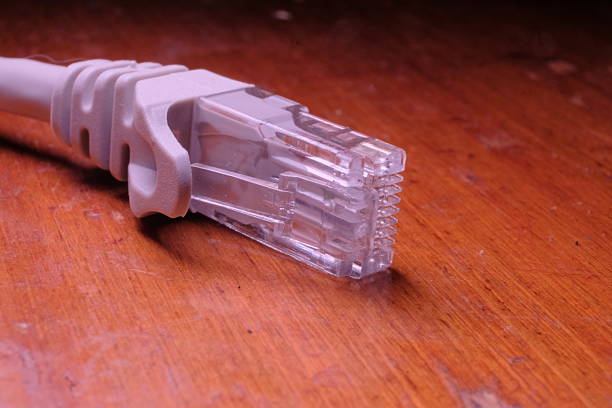 Gray Ethernet Cable Connector on Natural Wooden Surface