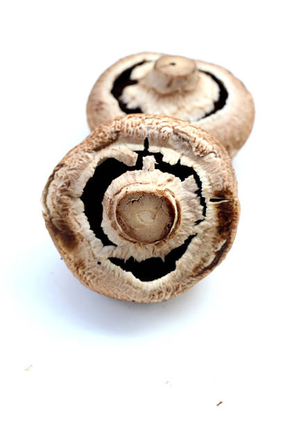 Fresh portobello mushrooms with visible gills underneath.