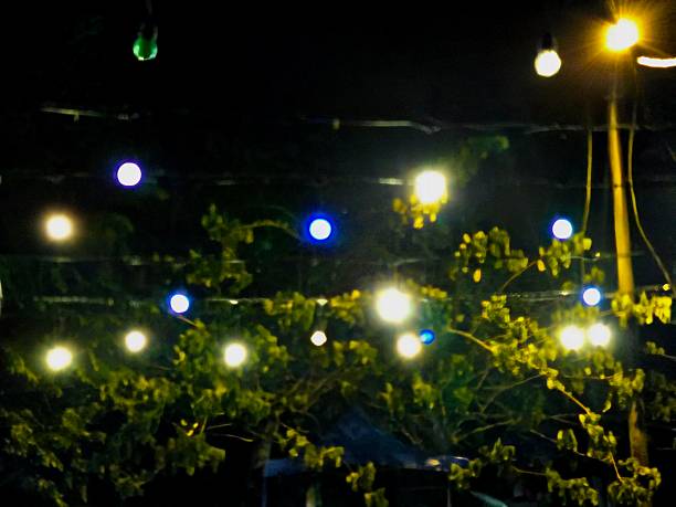 istock Outdoor night scene with decorative string lights hanging among tree branches, creating a warm and festive atmosphere. Beautiful glowing bulbs against dark sky background. 2243709736